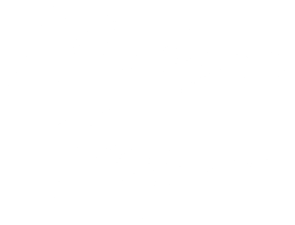 Mid Western Regional Council - Destination Experience