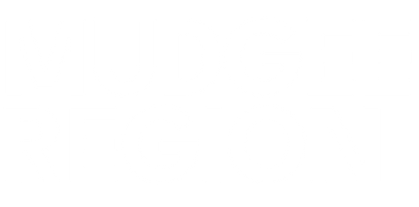 Mid Western Regional Council - Destination Experience 